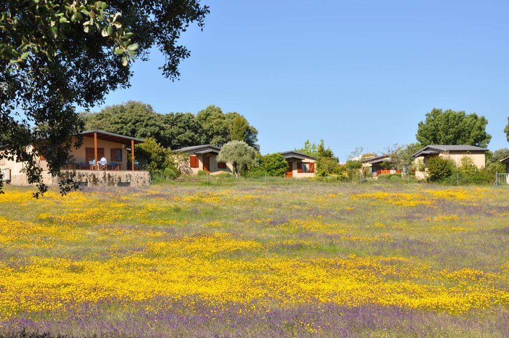La Cerca Del Alcornoque Guest House Casas de Belvis Exterior photo